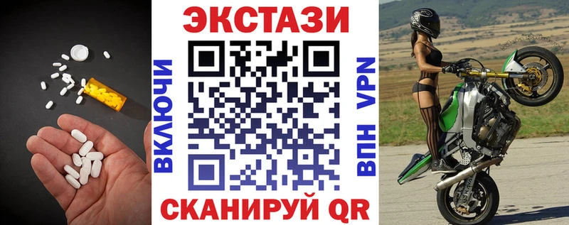 где можно купить   Каменка  Экстази Philipp Plein 