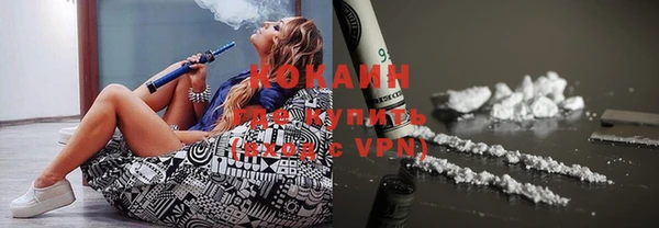 прущие грибы Абинск