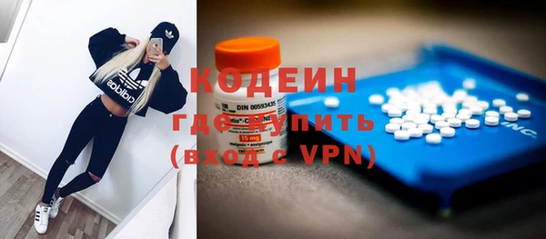 прущие грибы Абинск