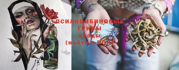 прущий лед Галич