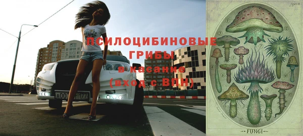 прущие грибы Абинск