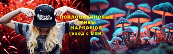 молекула духа Сафоново