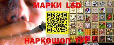 индика Лесосибирск