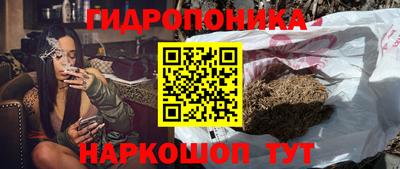 индика Лесосибирск