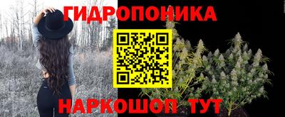 стаф Ливны