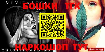 индика Лесосибирск