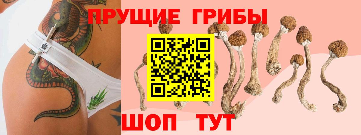 Псилоцибиновые грибы Magic Shrooms  Вход с VPN  где купить наркотик  Каменка 