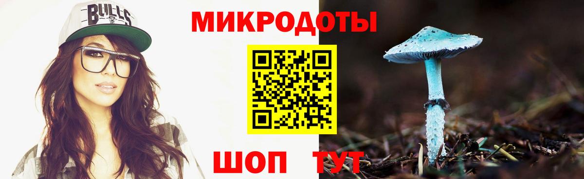 Псилоцибиновые грибы прущие грибы Каменка