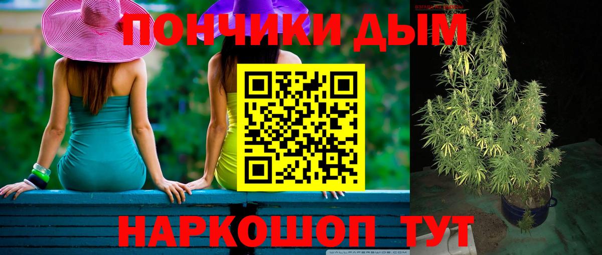 Бошки марихуана сатива  МАРИХУАНА сатива  Вход с VPN  Каменка 